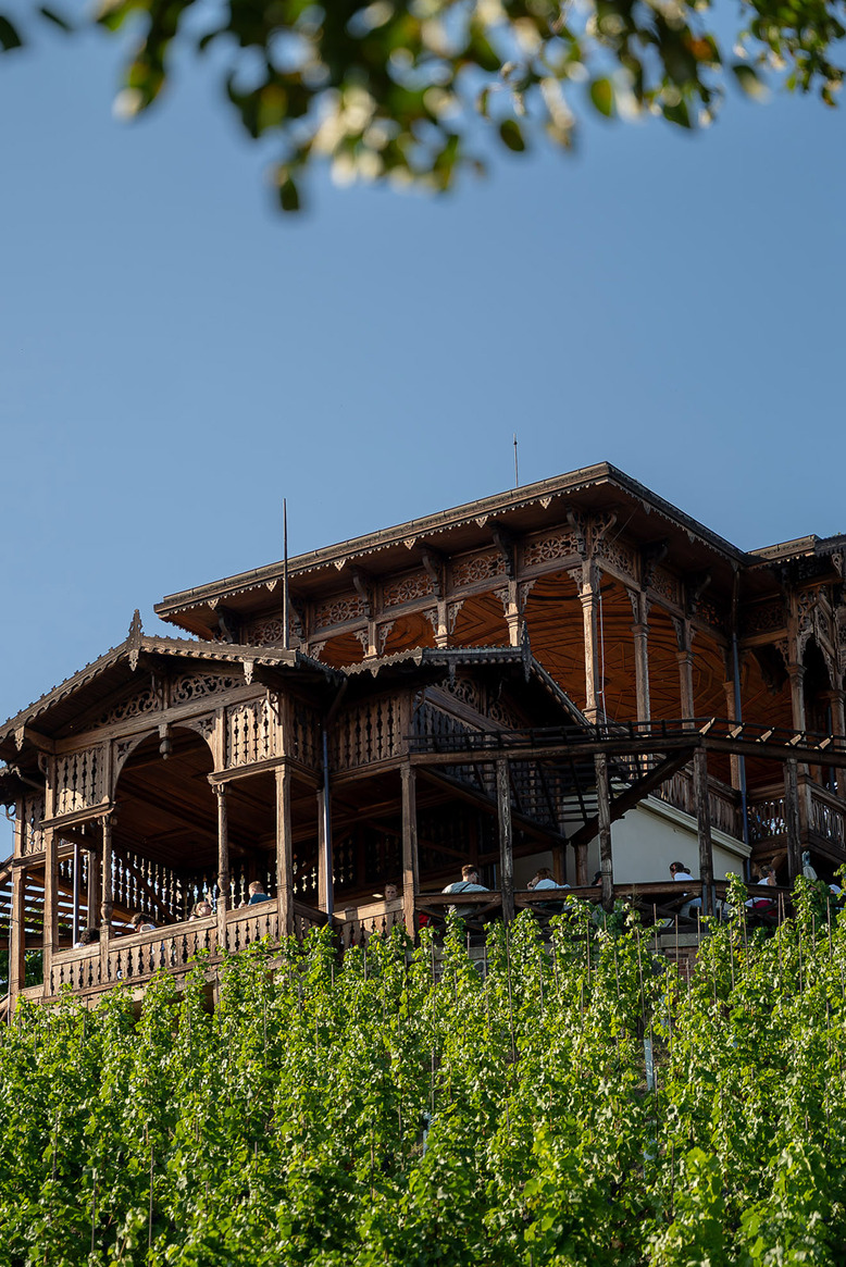 Pavilon Grébovka a její vinice