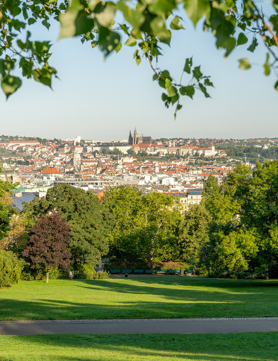 <b>Riegrovy sady</b>